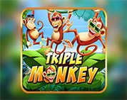 Triple Monkey PT